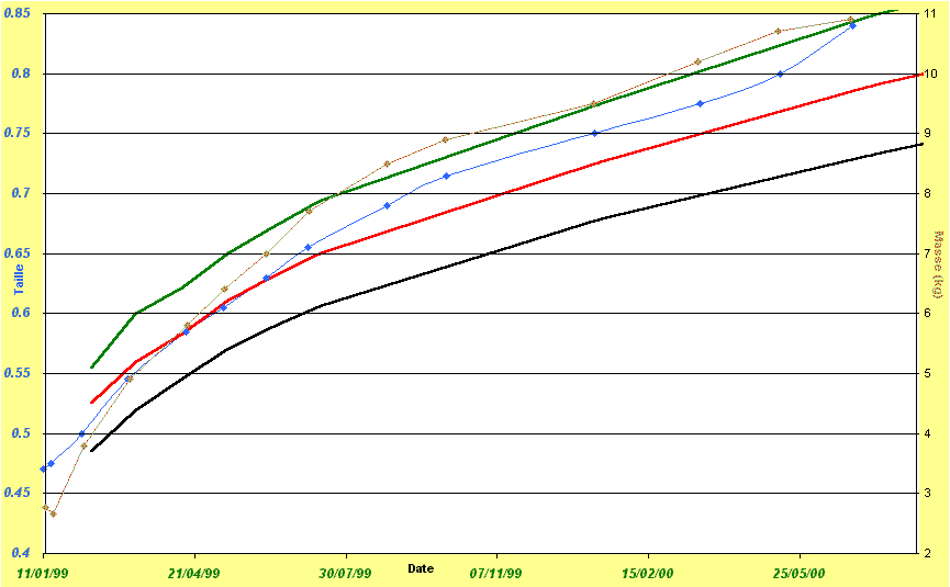 croissance.png