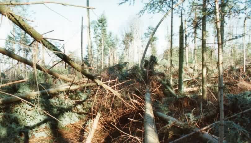 tempete.jpg