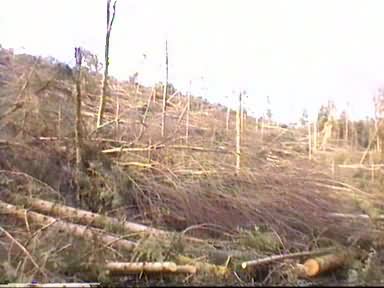 tempete1.jpg