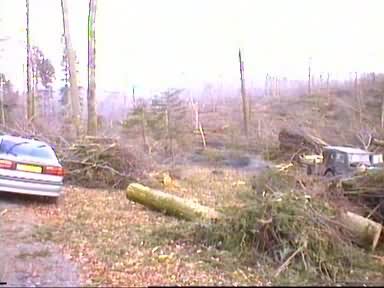 tempete2.jpg
