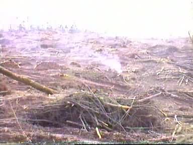 tempete3.jpg