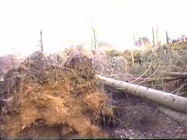 tempete4.jpg